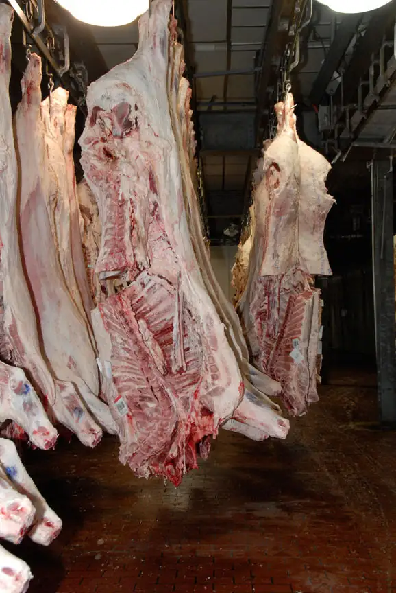 Beef import dynamics through 2026 so far
