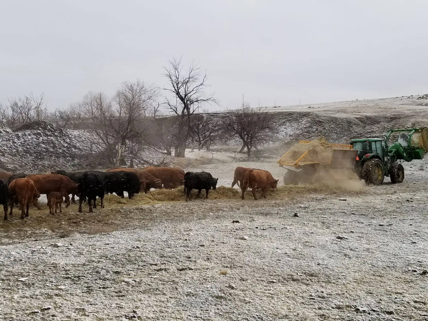 The benefits of proper hay storage