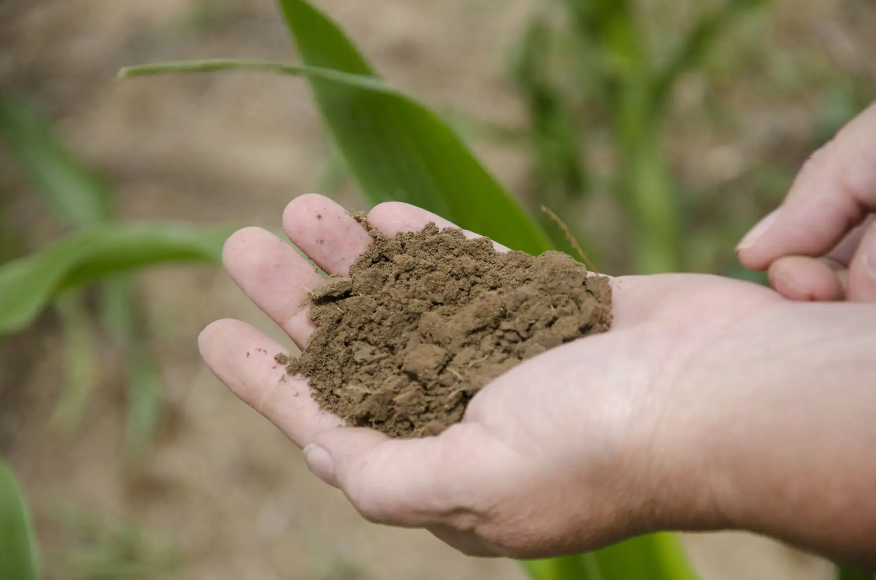 Is the carbon market right for your operation?