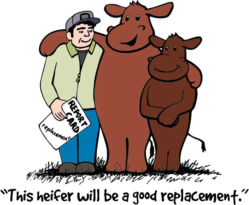 BeefTalk: Cowsonality important to a productive cow herd