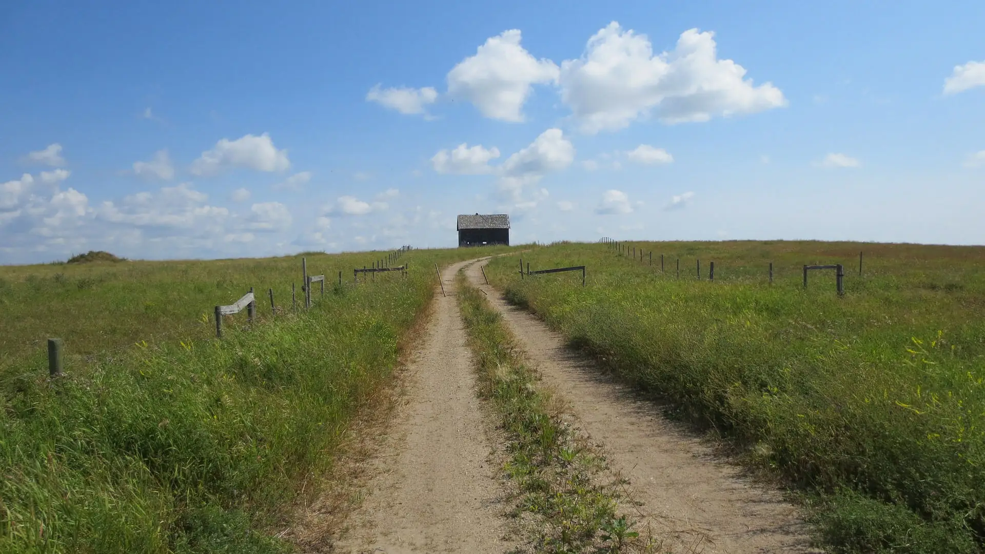 More USDA aid on the way for farmers