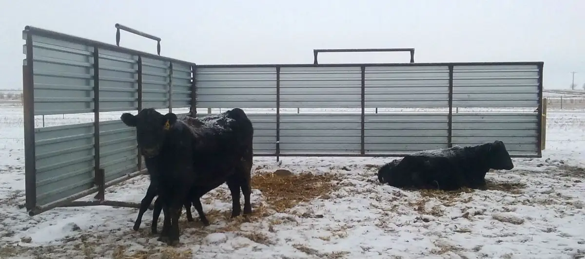 How to construct effective windbreaks