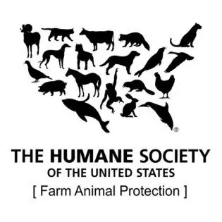 Humane Society of the U.S. CEO resigns on harassment claims