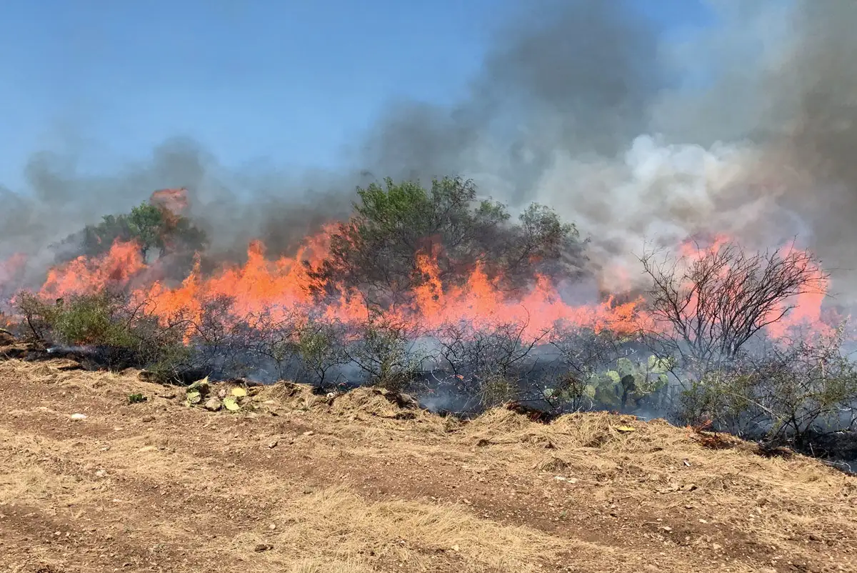CA announces plan to accelerate prescribed burning