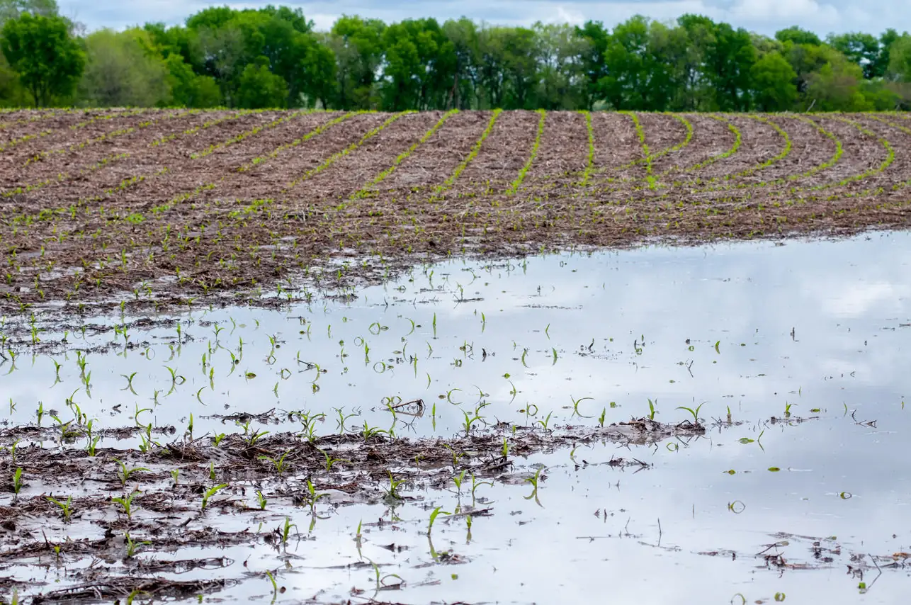 Resources to help farmers, ranchers hit by floods