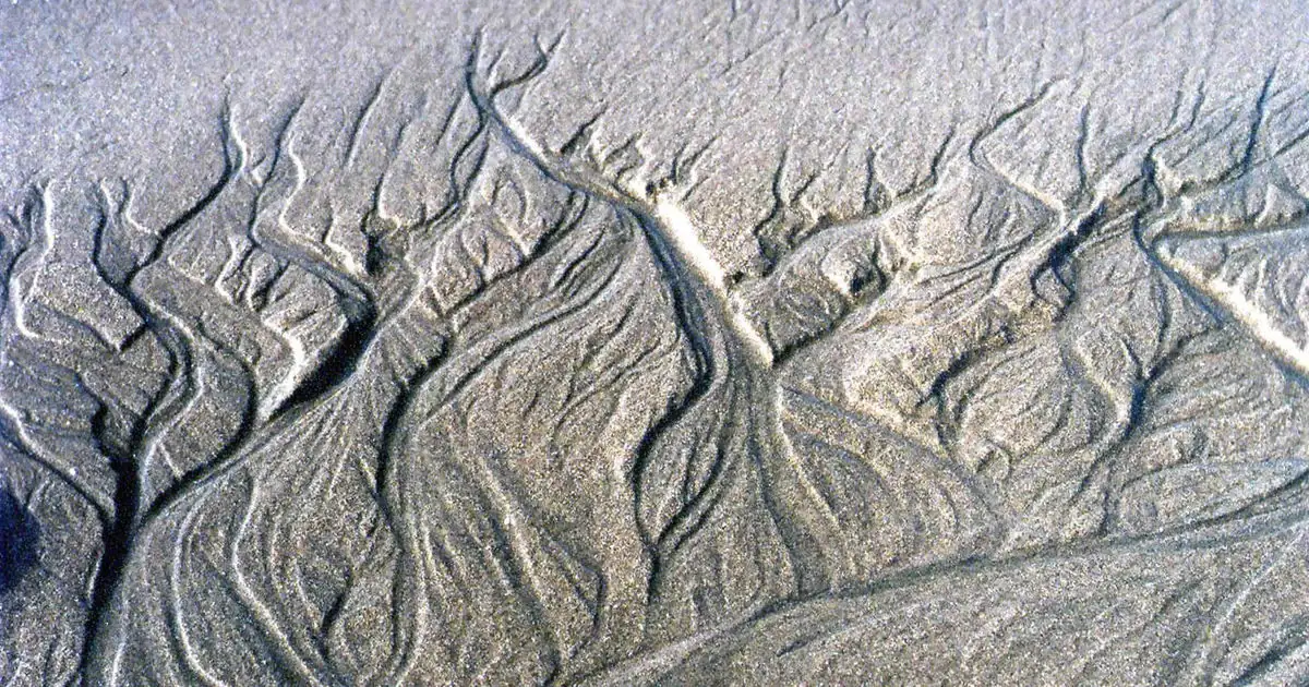 Soil can help predict climate, land use effects