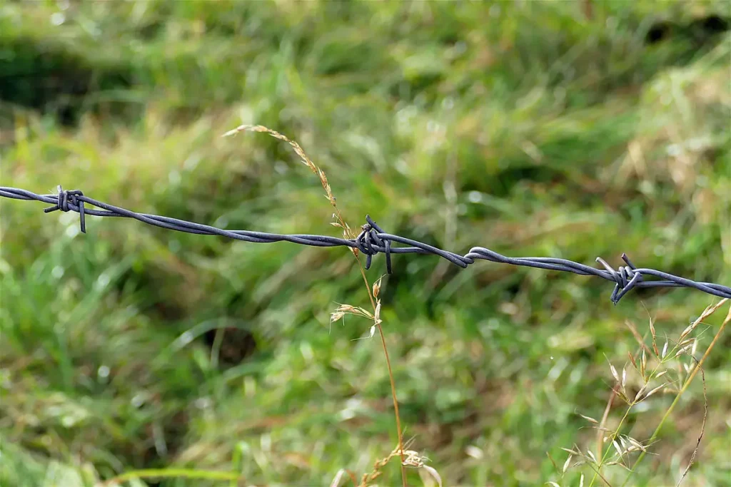 Don’t forget pastures when conducting soil samples