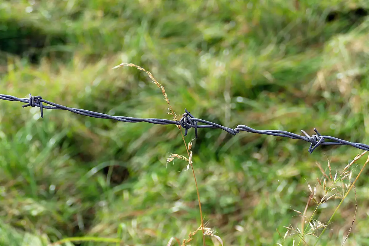 Don’t forget pastures when conducting soil samples