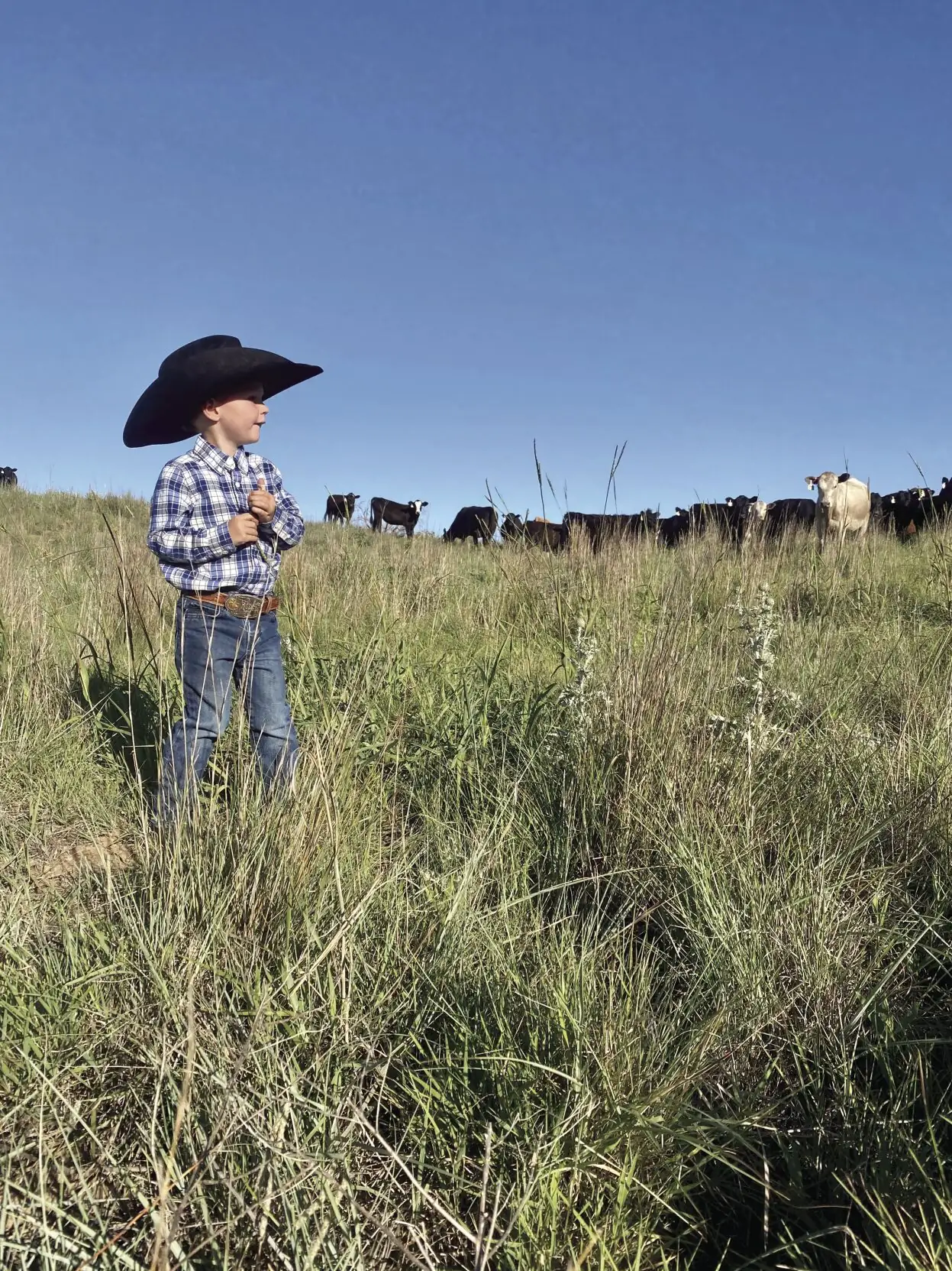 Rising above the status quo: Preserving ecology by challenging paradigms