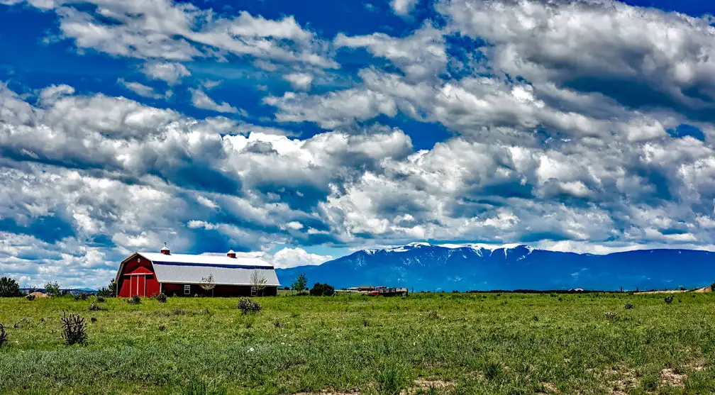 Looking ahead: A new farm bill is on the horizon