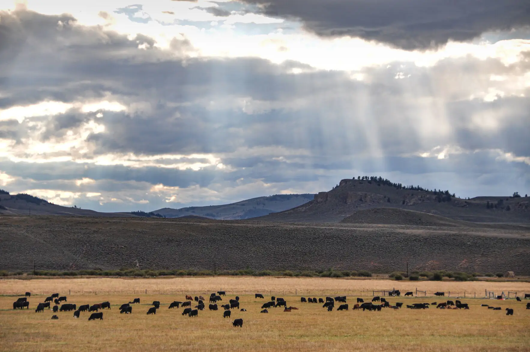 Taking a step into digital ranch data management