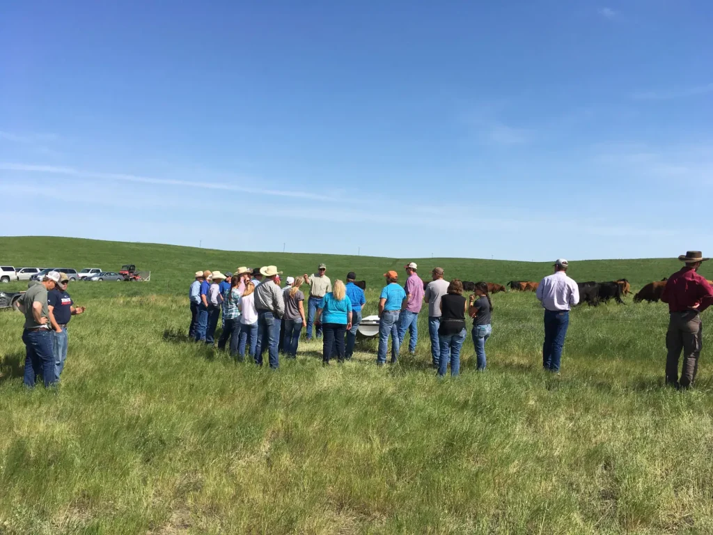 Throughout SDSU Extension’s two-year beefSD program