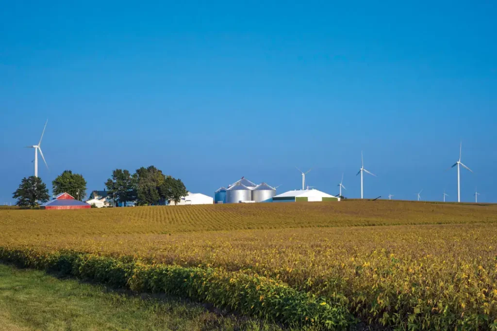 Wind turbines on the Bishop Hill wind farm operate among the corn and soybean fields near Bishop Hill