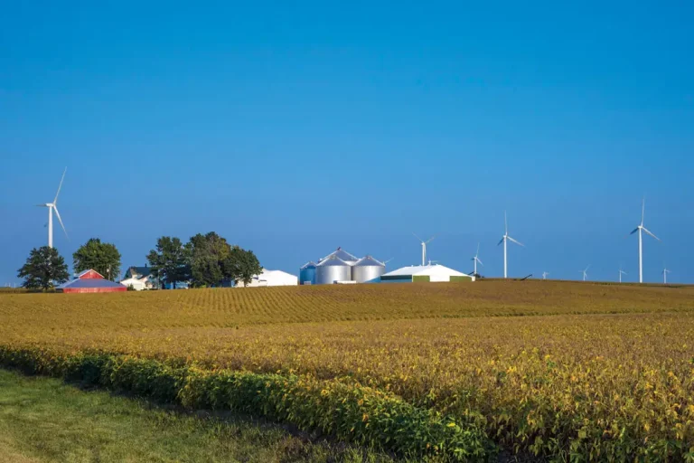 Wind turbines on the Bishop Hill wind farm operate among the corn and soybean fields near Bishop Hill