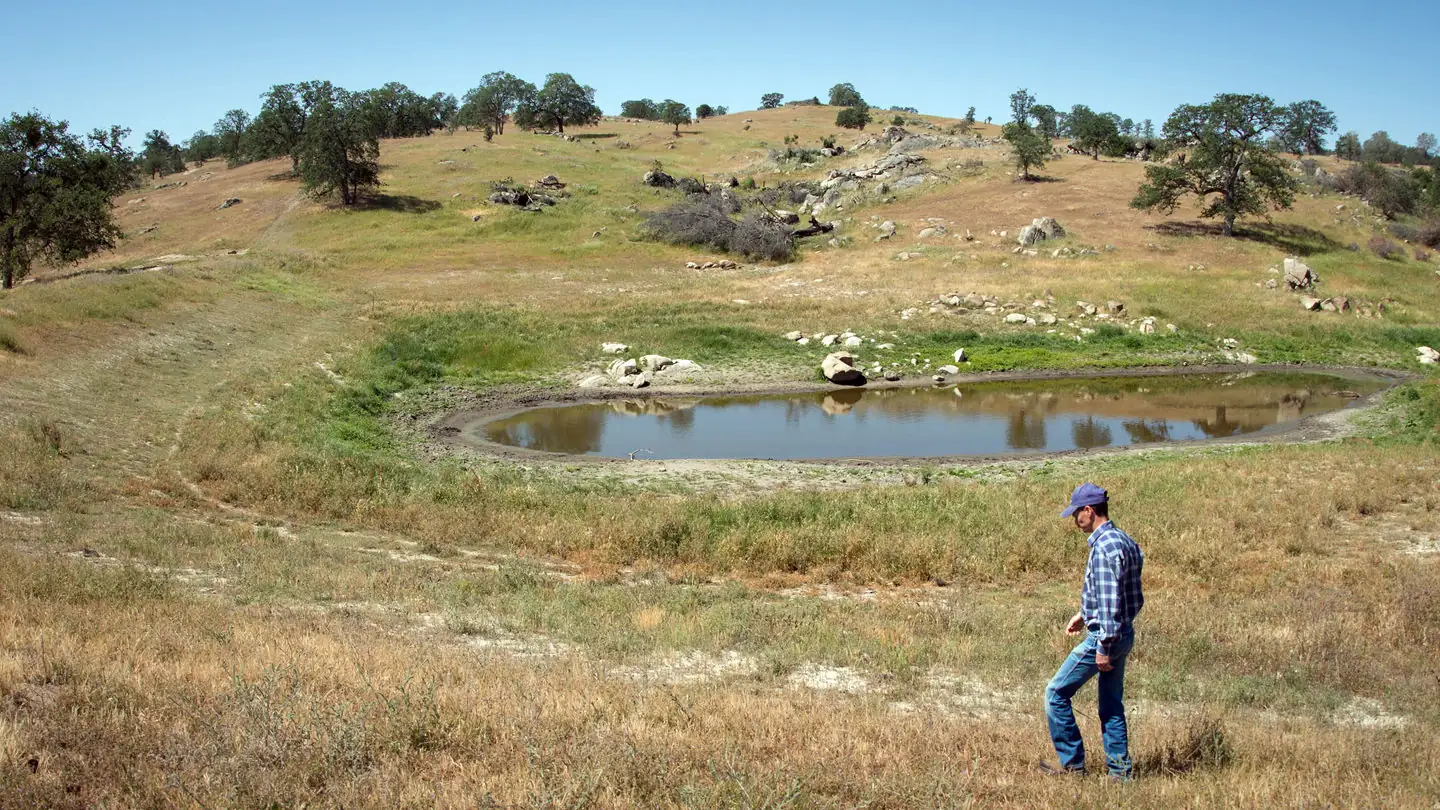 Idaho stockwater ownership bill advances