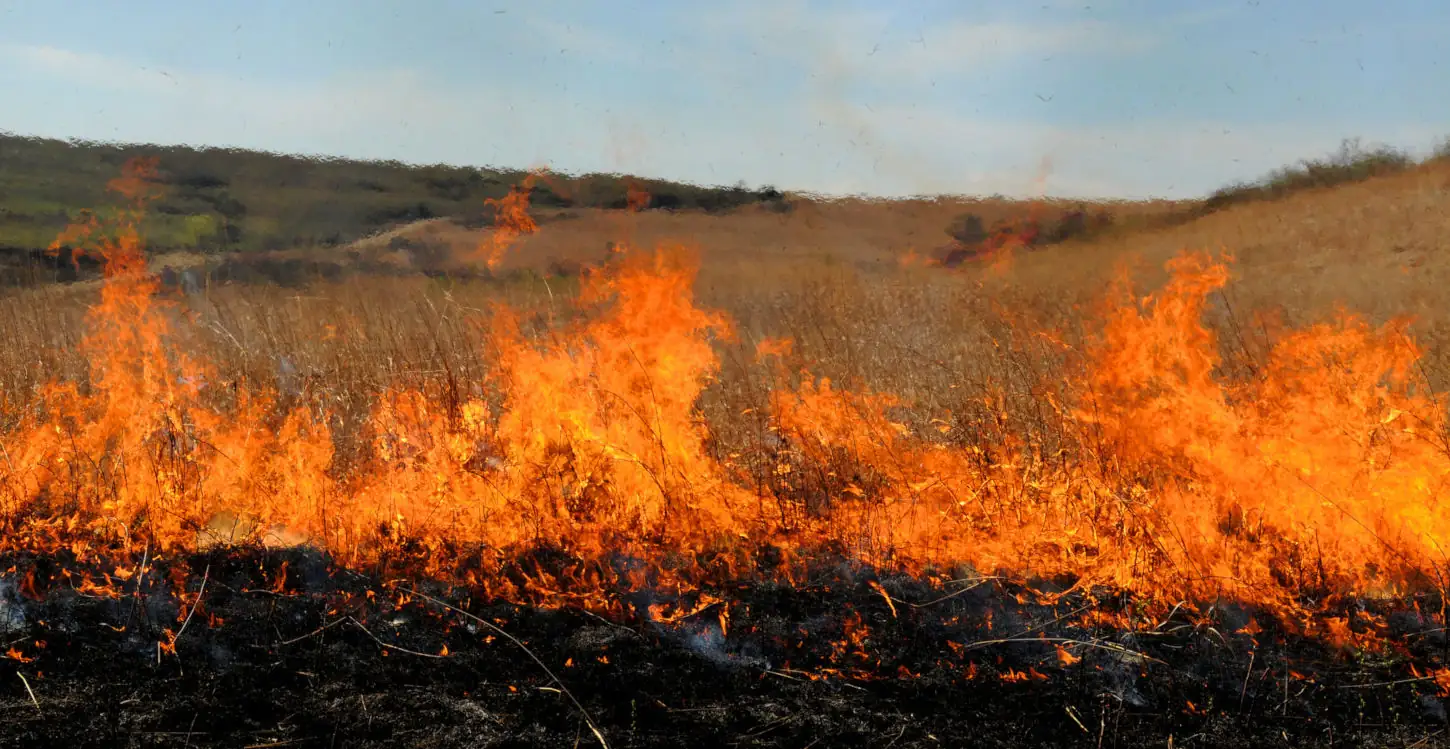 More acres burned, fewer air quality problems in Kansas