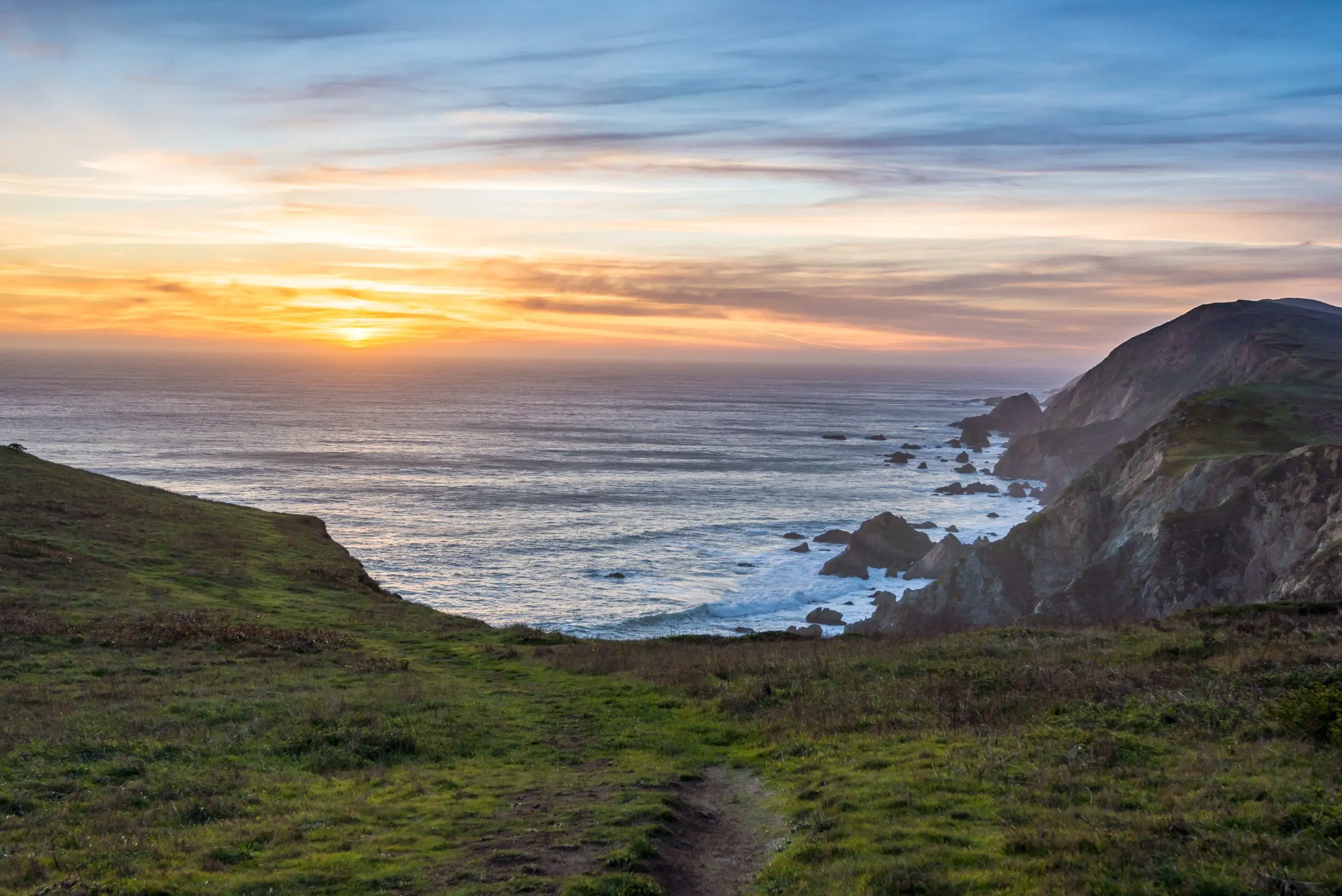 The Nature Conservancy opens Point Reyes grazing contracts