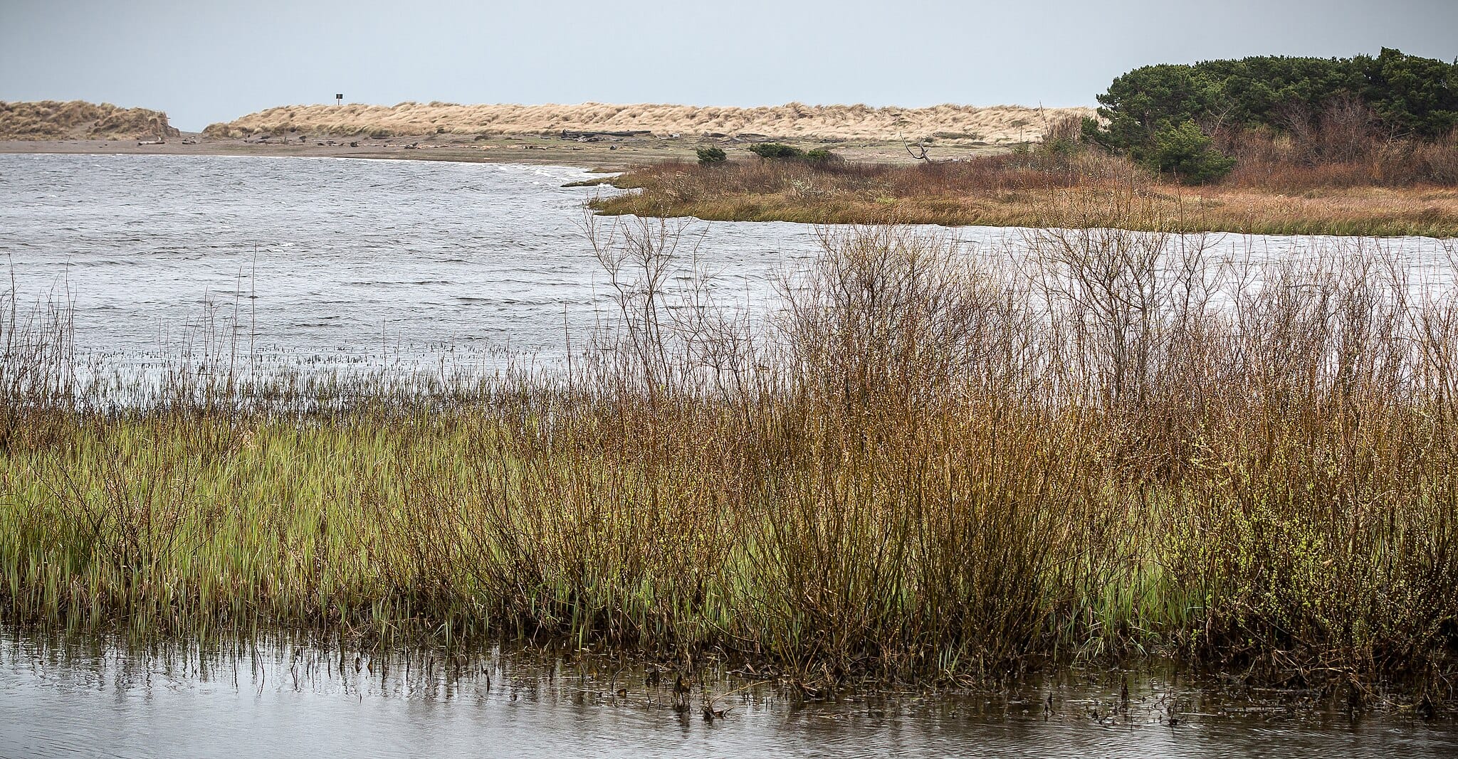 Oregon Central Coast to receive $2.2M to restore tidal wetlands