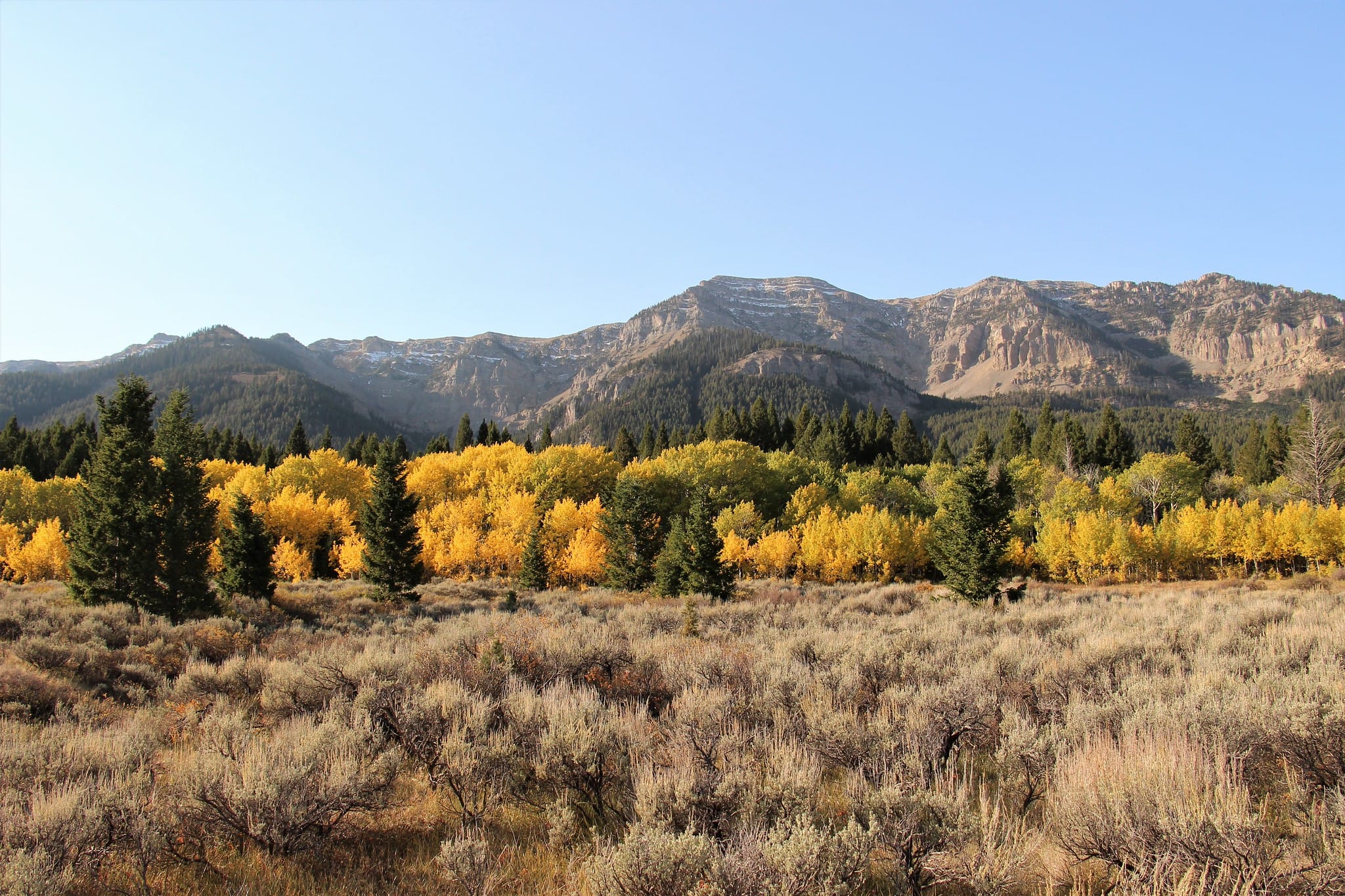 USFWS to reconsider cattle grazing at MT refuge