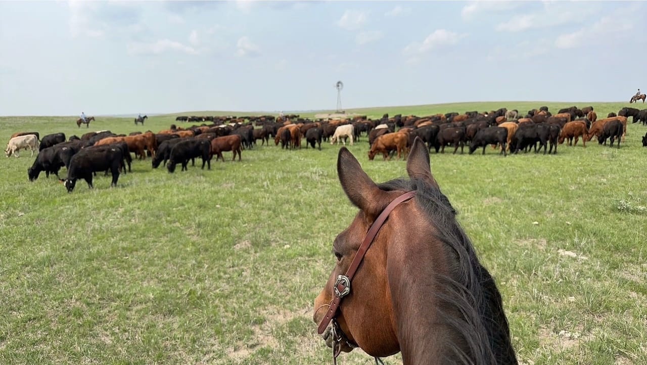 Sandhills ranch draws record sale price