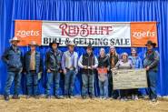 The 2026 Red Bluff Bull And Gelding Sale Champions Western Livestock 