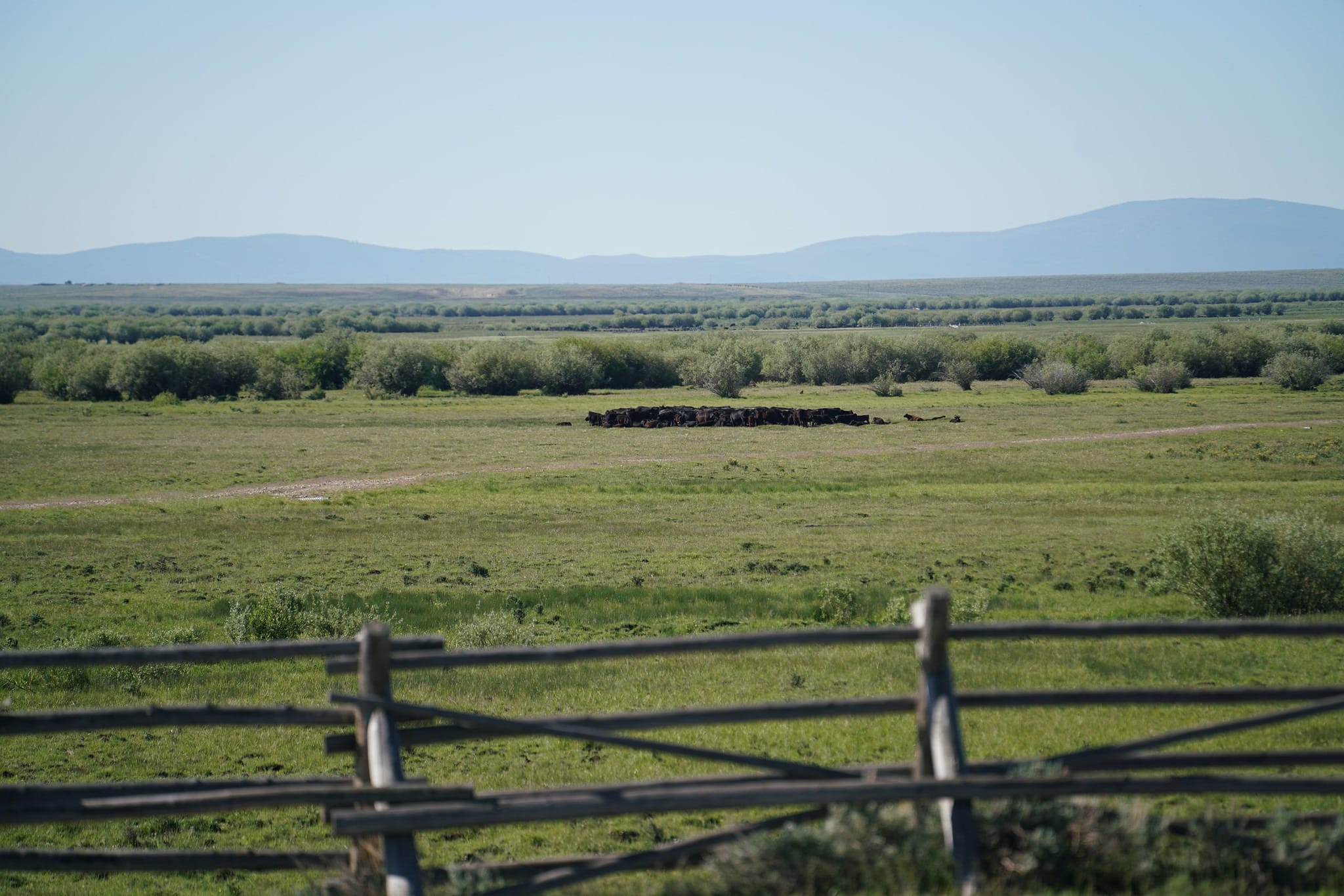 NRCS seeks input on CPS standards