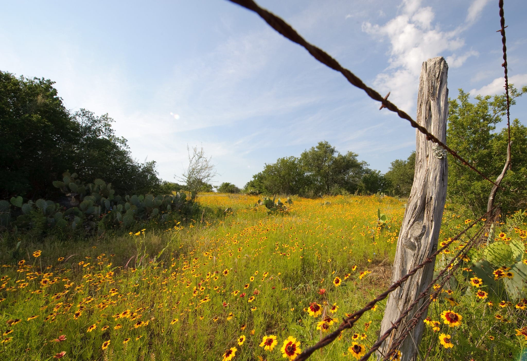 TX Appeals Court affirms easement in Luckenbach Ranch case