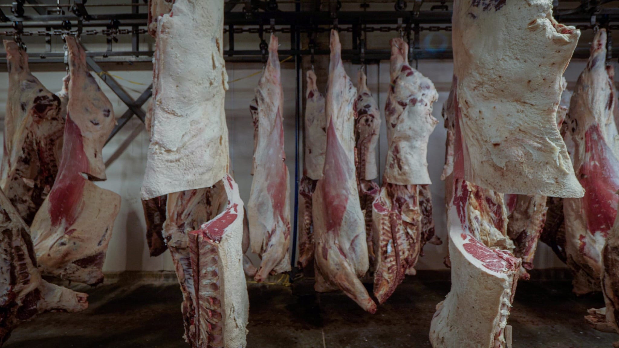 Global beef production and exports