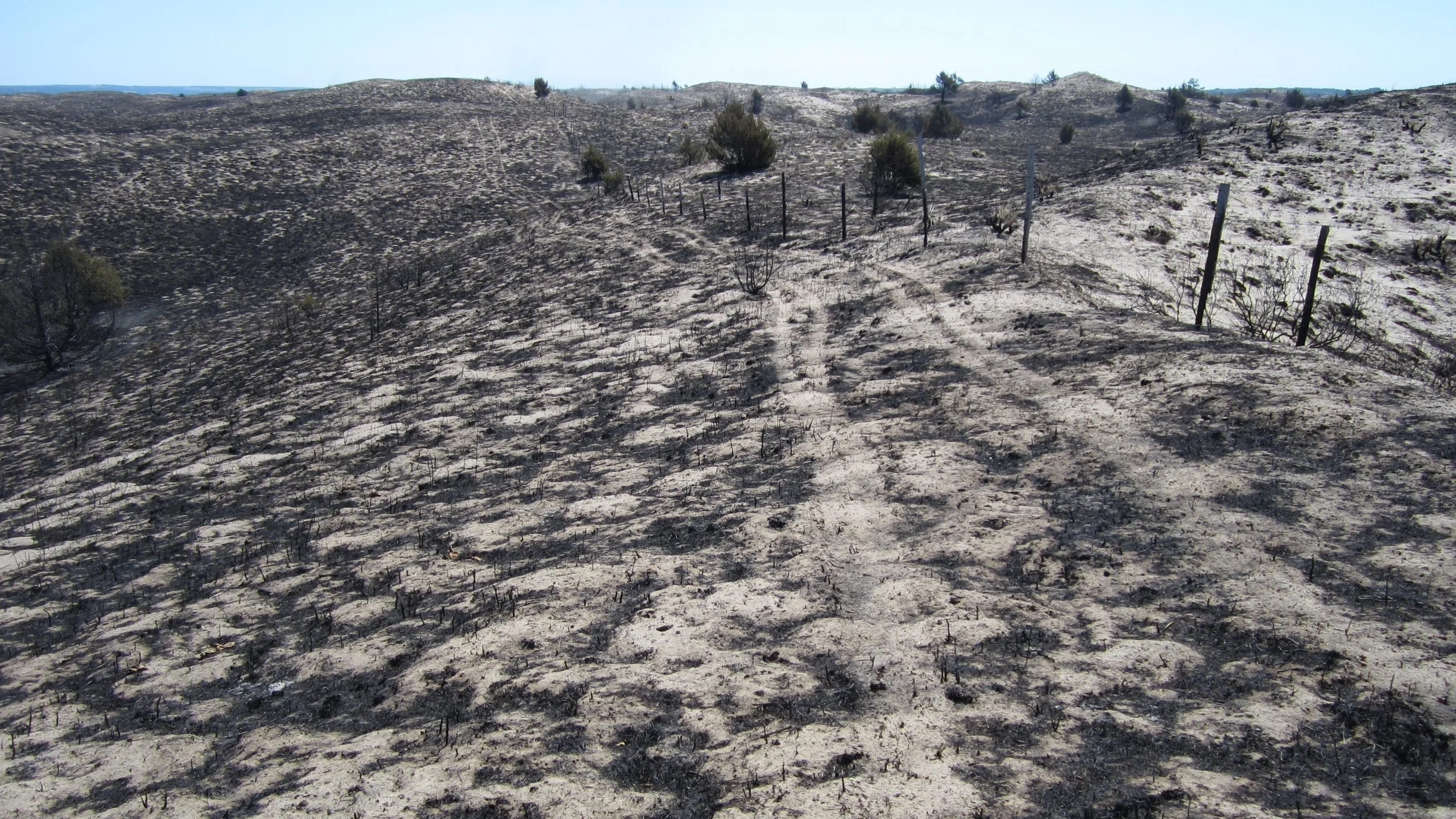 New website helps NE landowners track wildfire recovery, view history