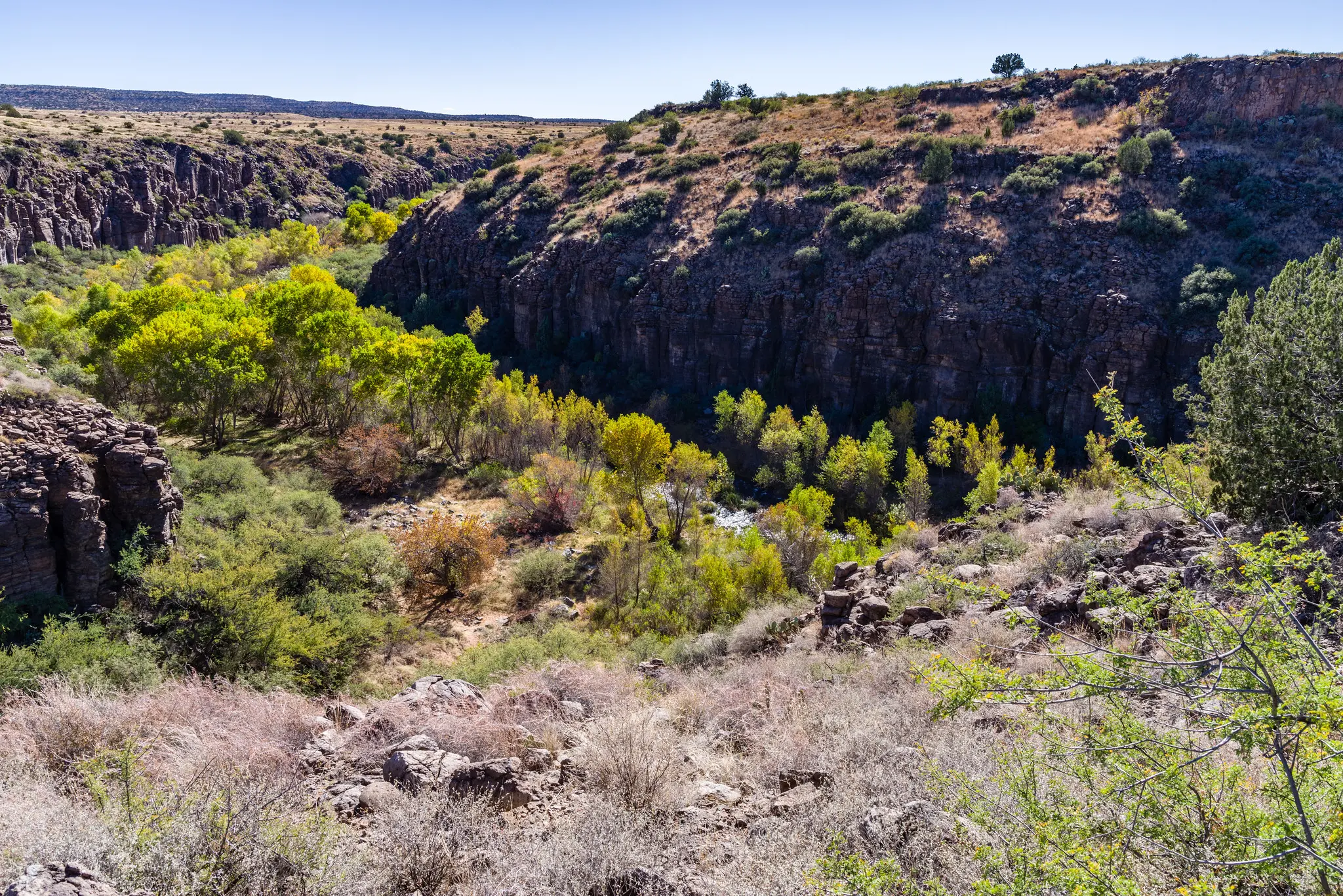 Arizona rancher challenges grazing permit cancellation