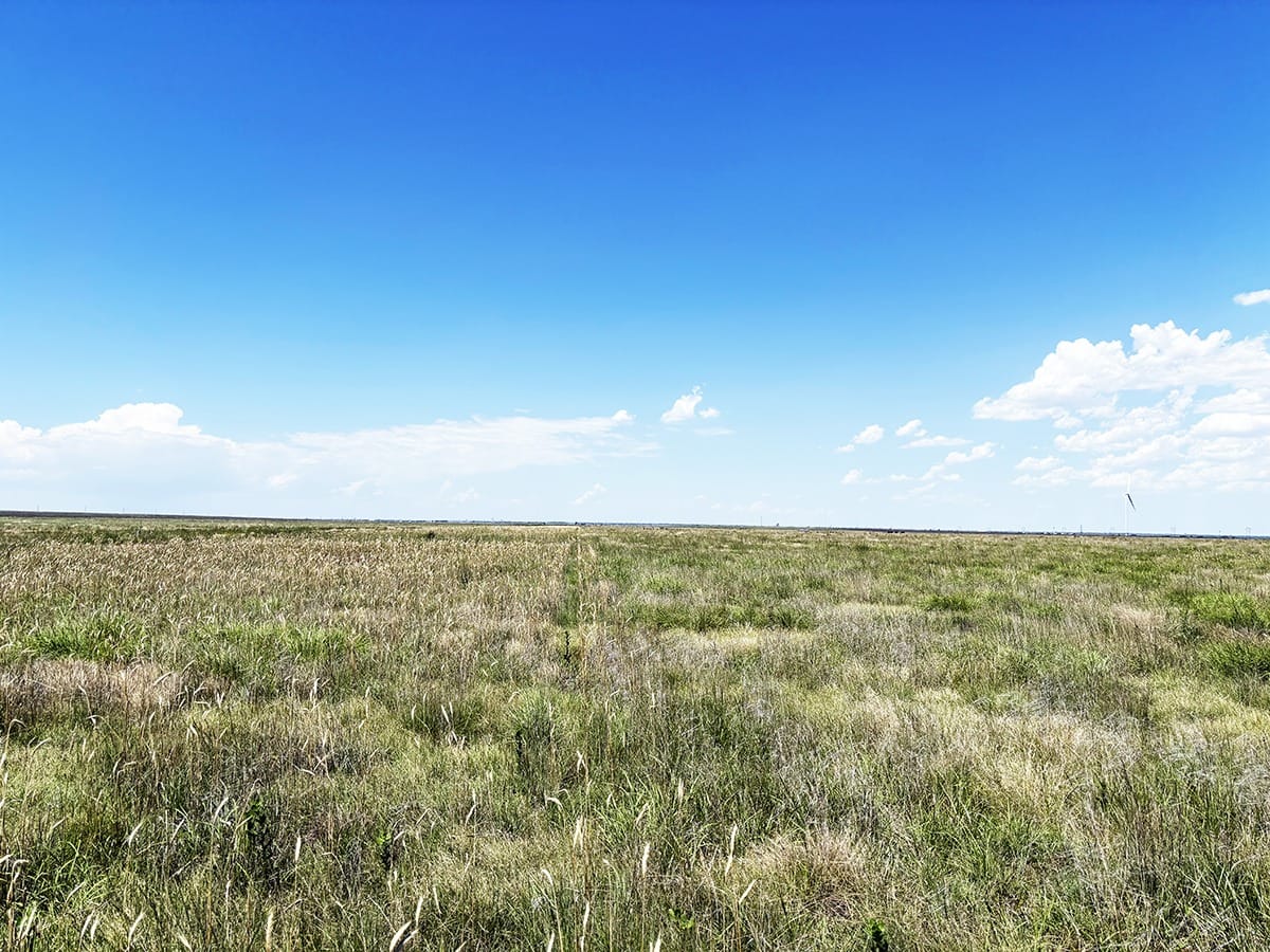 Pasture cropping may improve soil health and forage quality