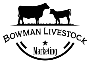 Bowman Livestock Marketing