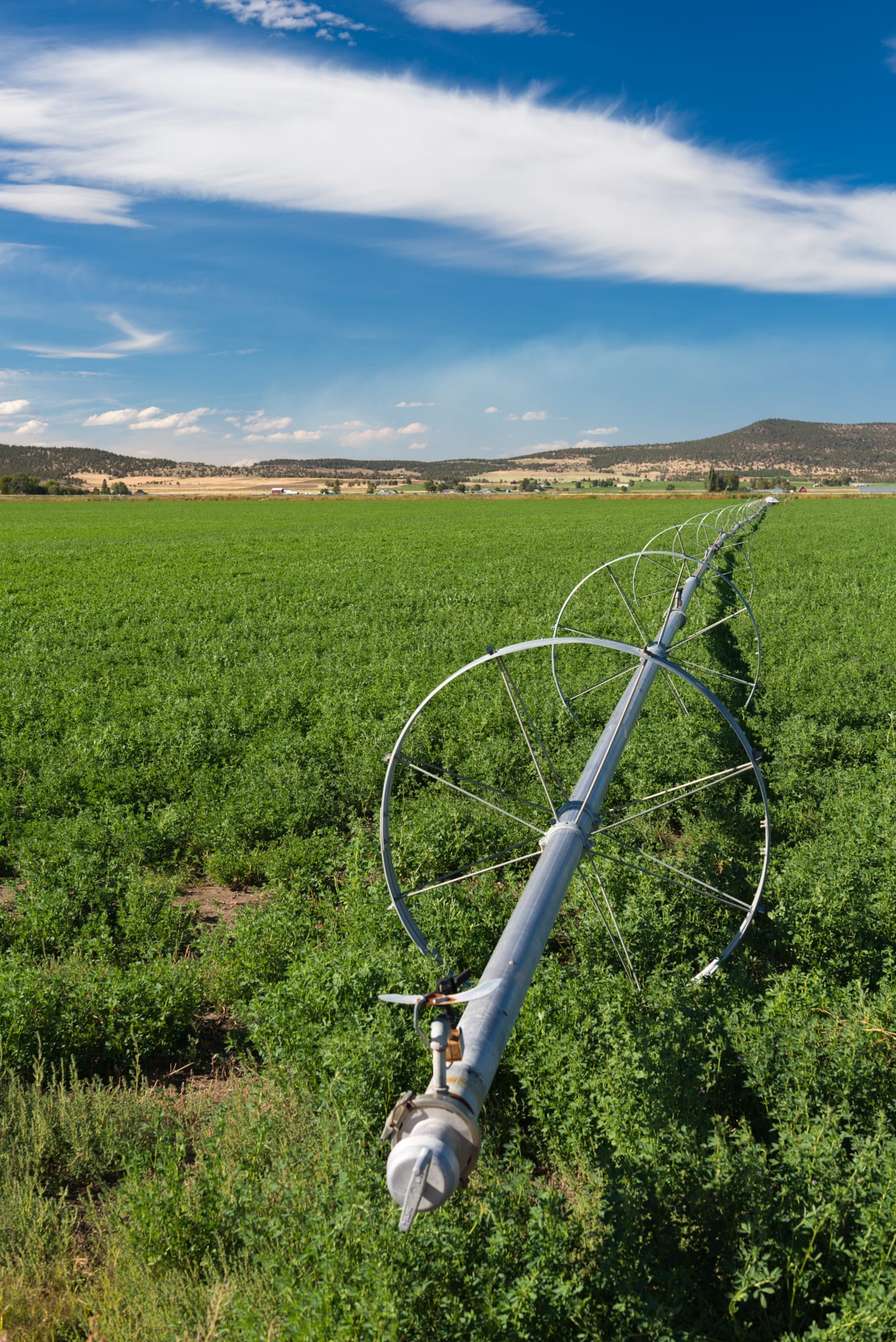 Klamath irrigators meet idling goal