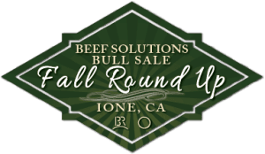 Bruin Ranch & Circle Ranch