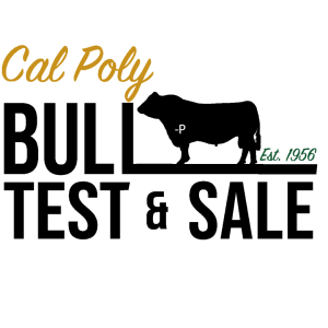 Cal Poly Bull Test & Sale