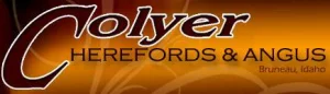 Colyer Herefords & Angus