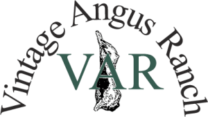 Vintage Angus Ranch