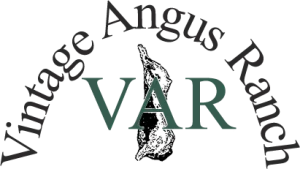 Vintage Angus Ranch