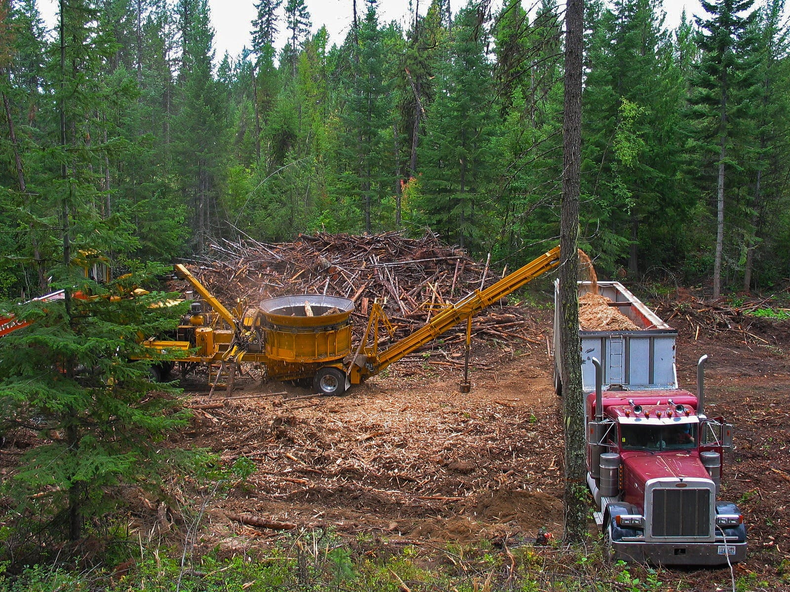 USDA invests in Oregon, Nevada timber production