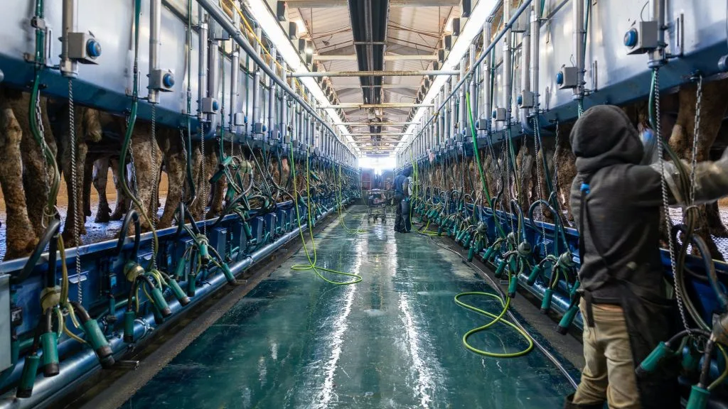Lawmakers propose sweeping H-2A reforms for agriculture