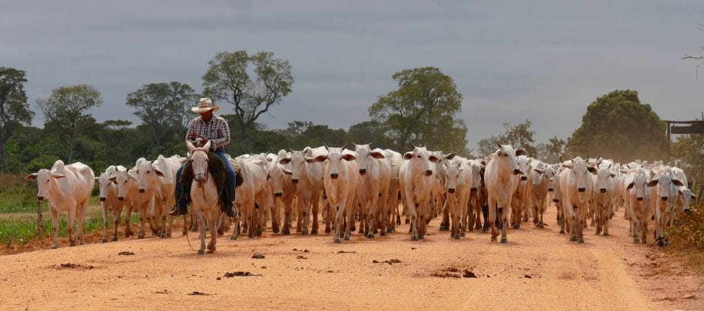 Trump imposes tariffs on Brazil, exempts beef