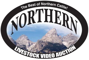 Northern Livestock Video Auction