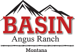 Basin Angus Ranch