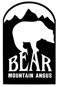 Bear Mountain Angus
