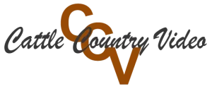 Cattle Country Video