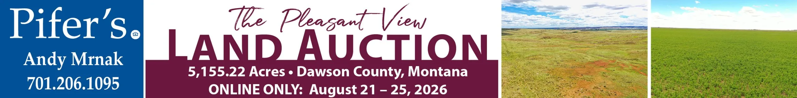 Pleasant View Auction