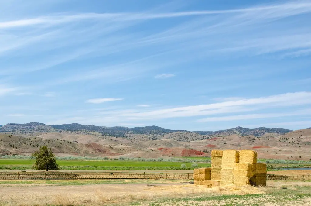 Farmland values in 2026 climb to new highs