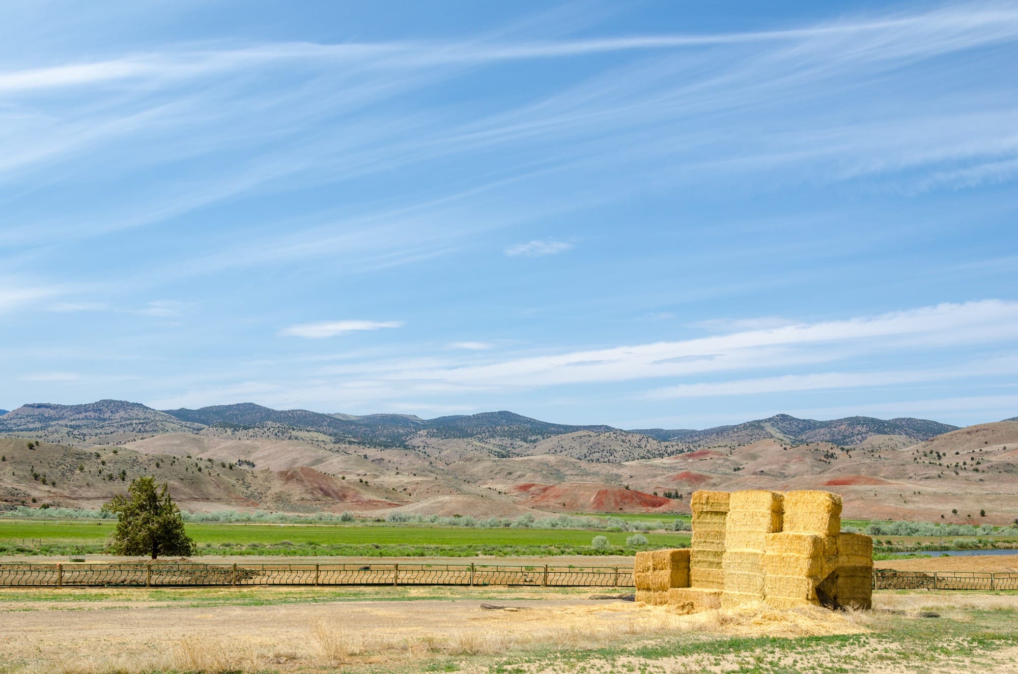 Farmland values in 2026 climb to new highs