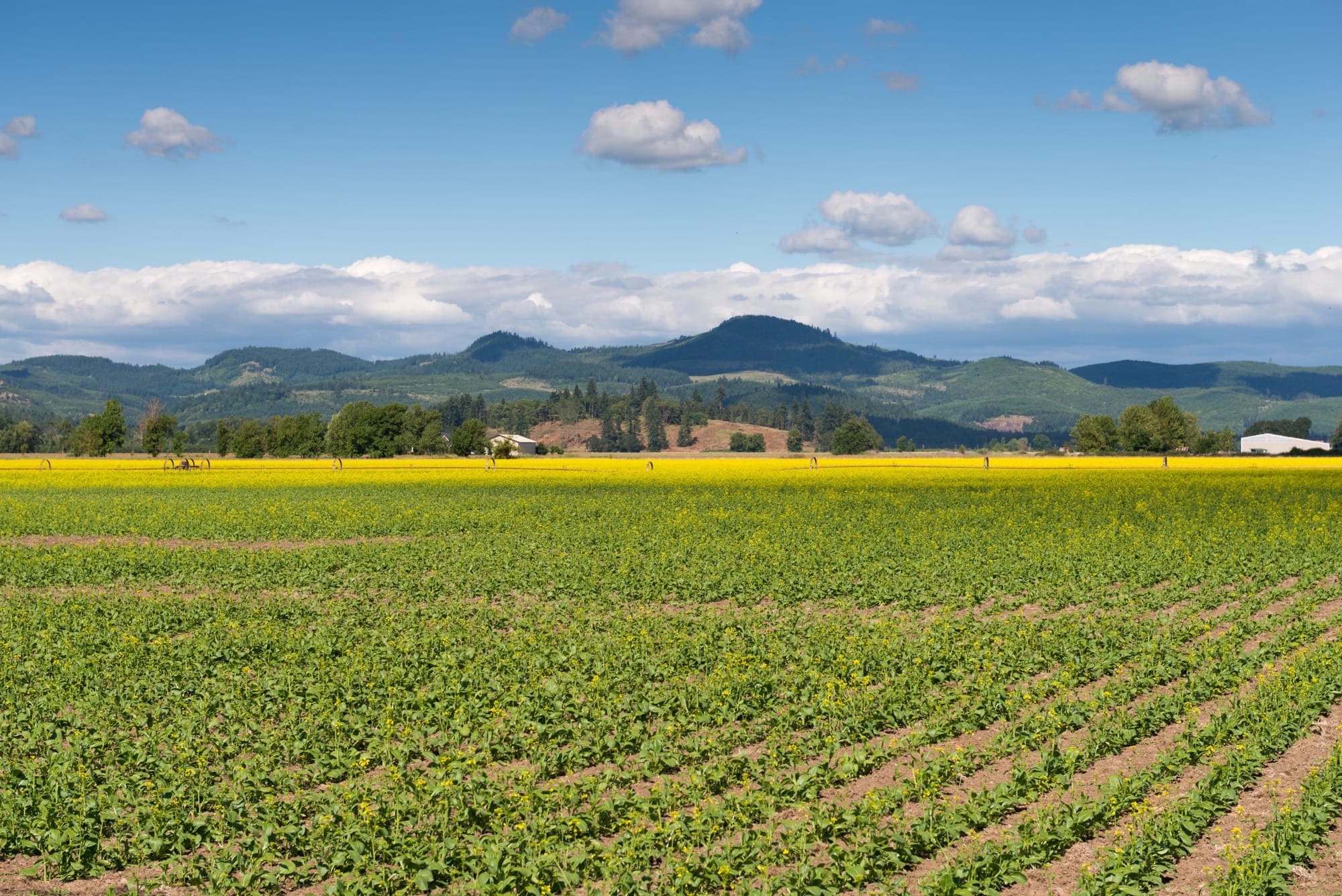 Development, ownership reshape farm and pasture lands