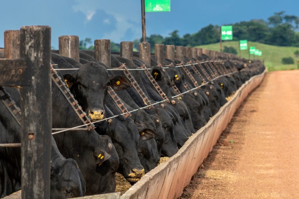Trump beef import plan draws opposition